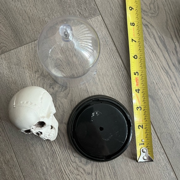 5 for $10 - skull in cloche - Picture 2 of 7